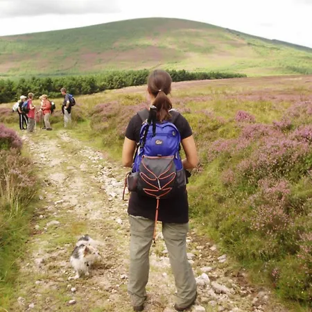 格伦加里夫公园酒店 *