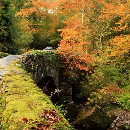 旅馆 格伦加里夫公园酒店 格伦加里夫