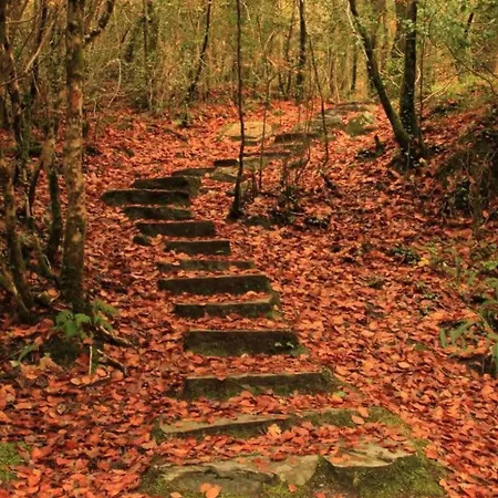 格伦加里夫公园酒店 旅馆 格伦加里夫