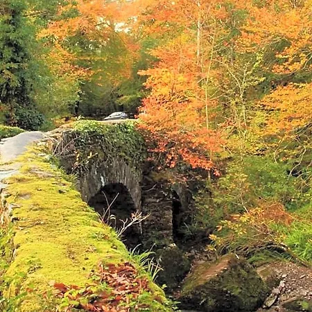 Glengarriff Park Hotel Vandrarhem *
