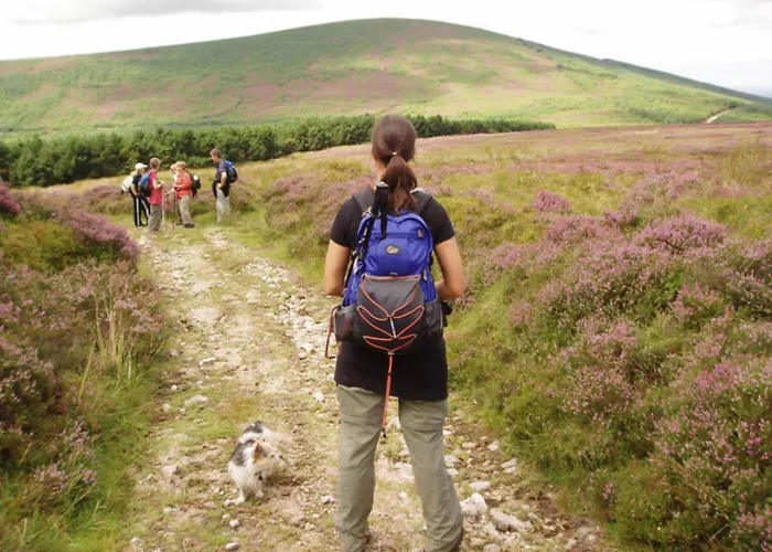 Glengarriff Hostel *