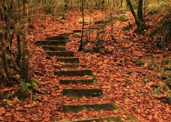 Glengarriff Hostel Hostel Glengarriff