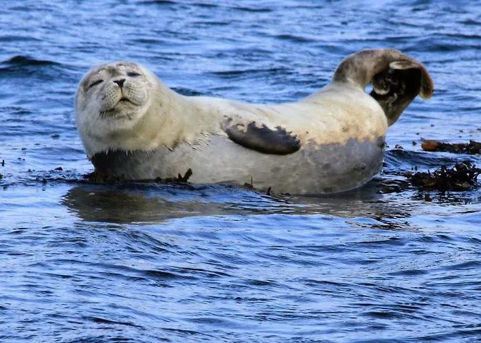 Glengarriff Hostel Hostel Glengarriff